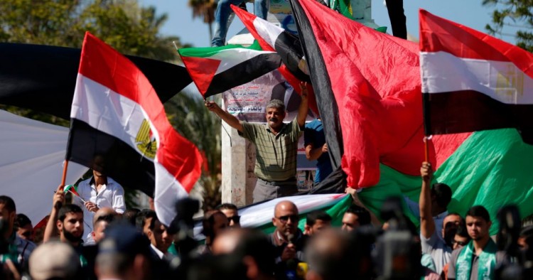 A man waves a Palestinian flag while protesting. 
