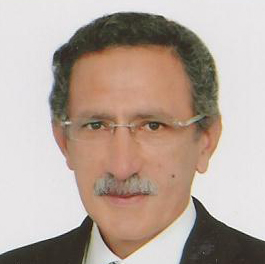 Tarek Tawfik