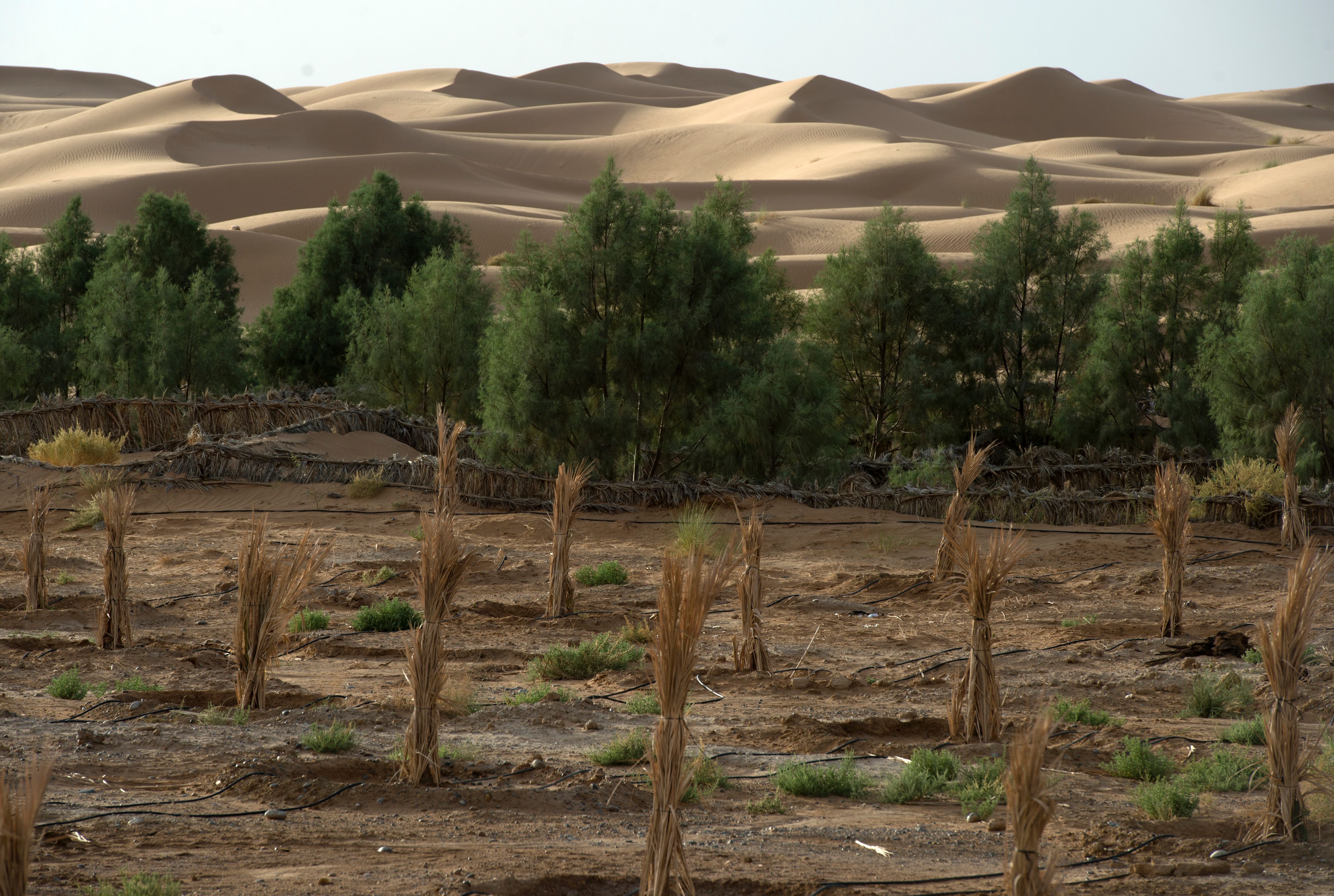 What The United Nations 6th Climate Assessment Tells Us About The   GettyImages 620774214 