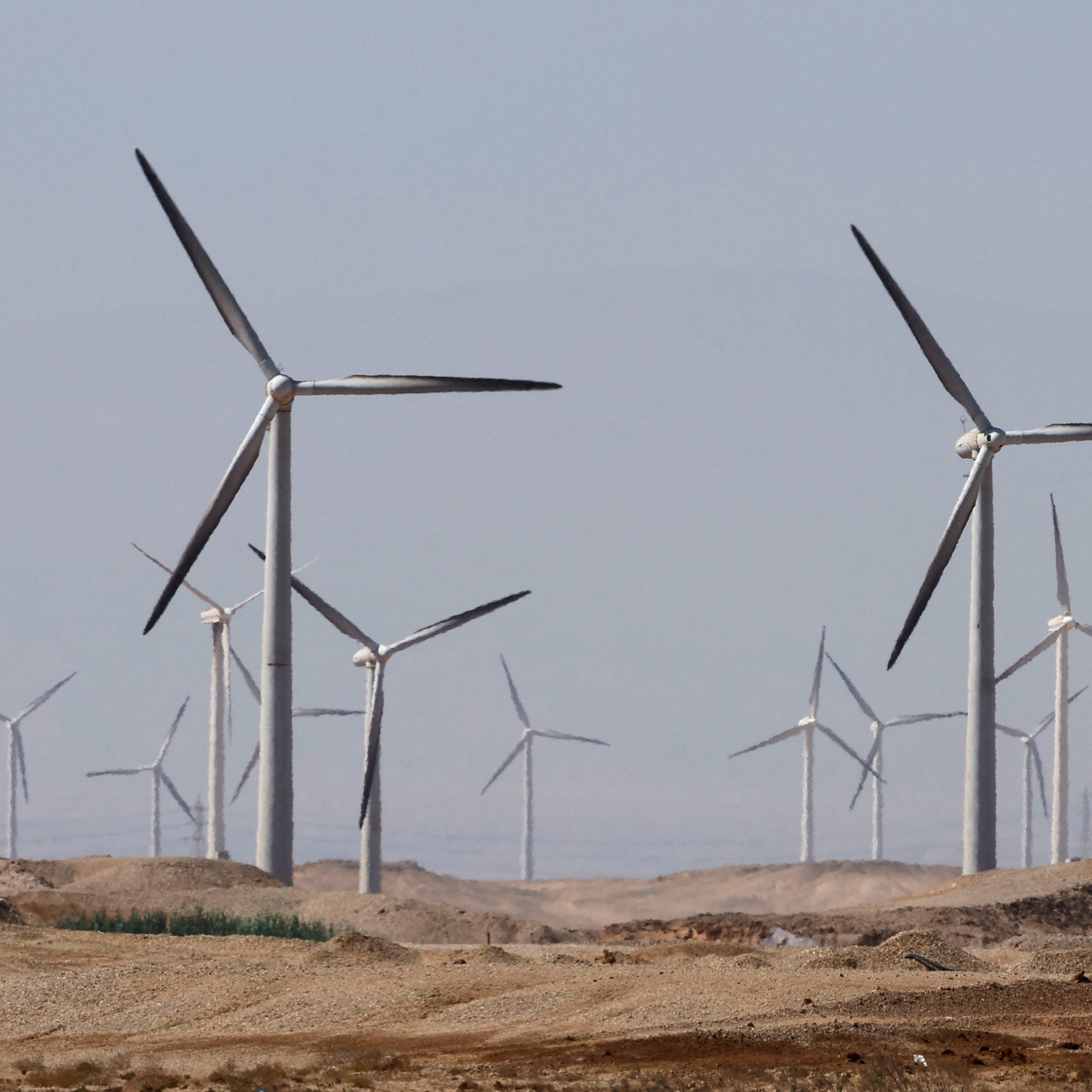 North Africa Renewables Project cover photo