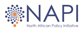 NAPI Logo