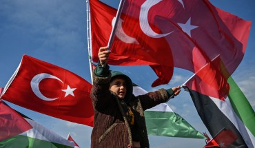 Young boy waves flag for Turkey and Palestine