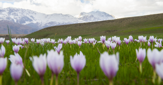 Photo by Sidar Can Eren/Anadolu Agency via Getty Images