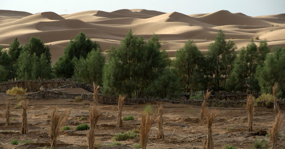 Photo by FADEL SENNA/AFP via Getty Images