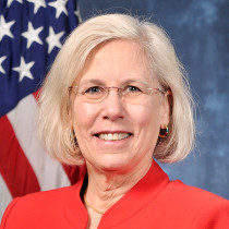 Joanne Held Cummings Profile Image