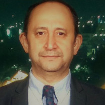 Meir Javedanfar Profile Image