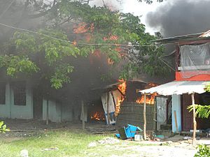 Rohinga village burning as they flee