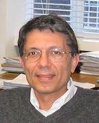 Ali Madanipour photo
