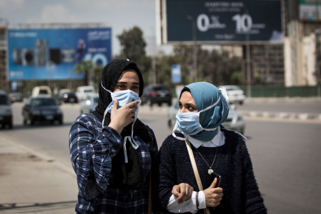 Photo by Gehad Hamdy/picture alliance via Getty Images