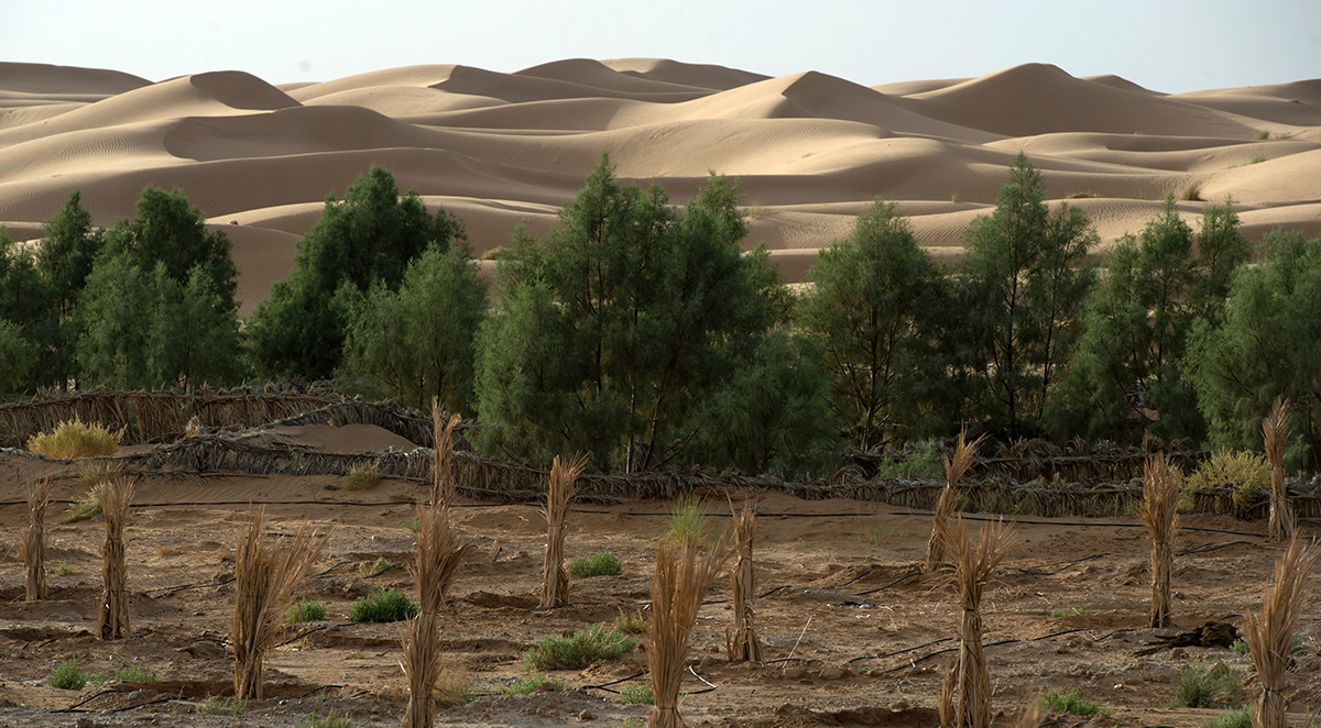 Photo by FADEL SENNA/AFP via Getty Images