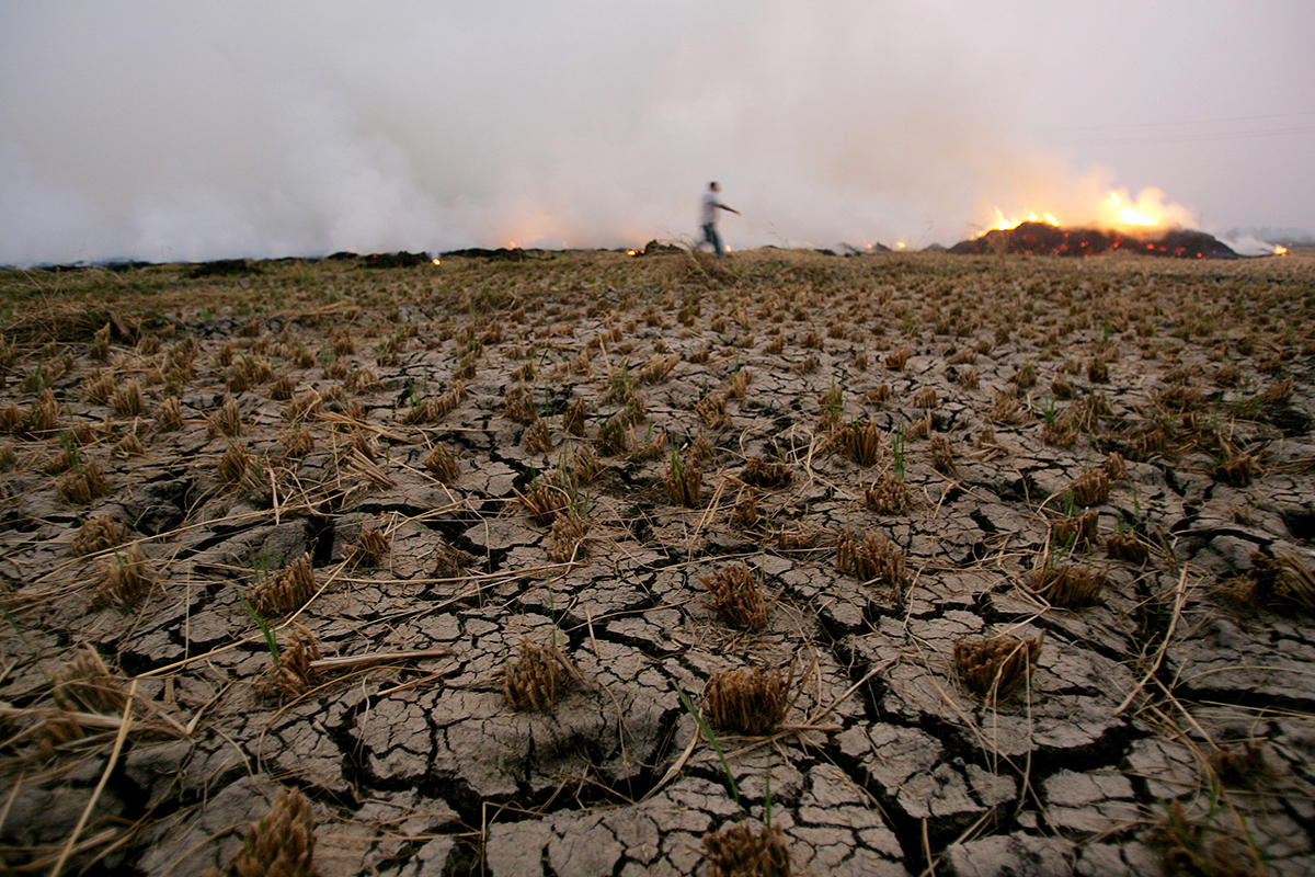 Photo by KHALED DESOUKI/AFP via Getty Images