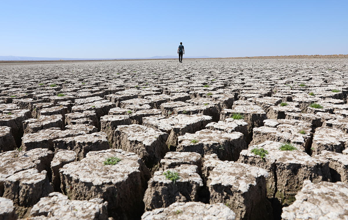 Photo by Bestami Bodruk/Anadolu Agency via Getty Images