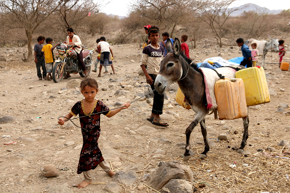 Photo by KHALED ZIAD/AFP via Getty Images