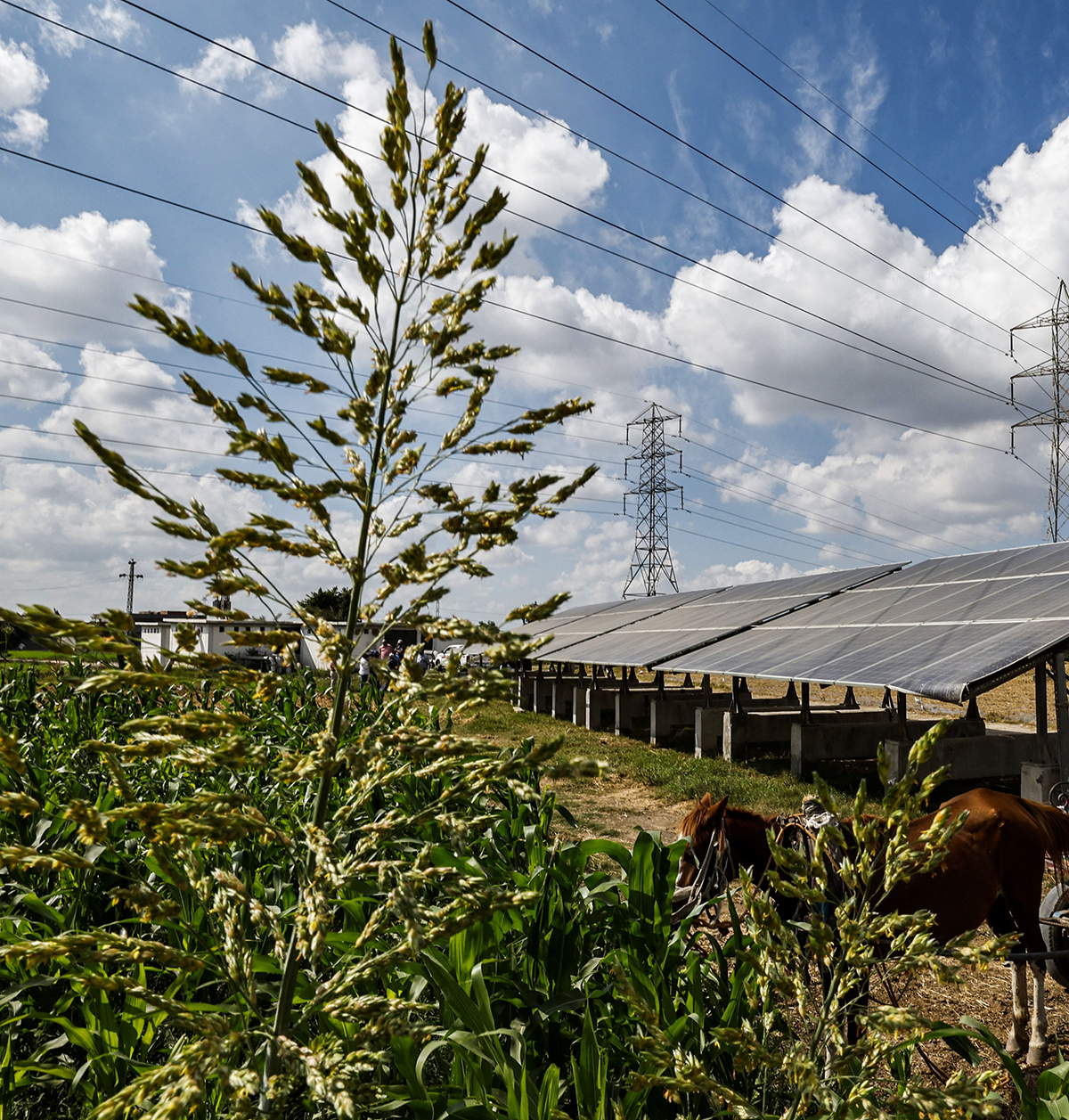 Mapping MENA's Renewable Energy Supply Chains: The Emergence of Green  Energy Ecosystems in the Middle East and North Africa - Middle East  Institute