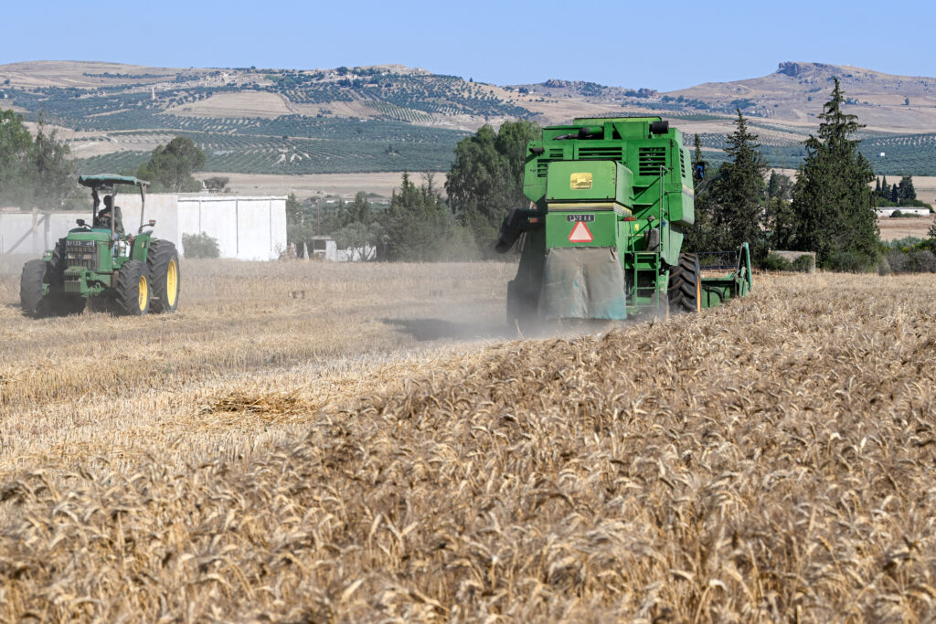 Photo above: A combine harvester and a tractor move through a wheat field in Teboursouk in the Beja region of northern Tunisia during the harvest season on July 2, 2025. Source: Fethi Belaid/AFP via Getty Images.